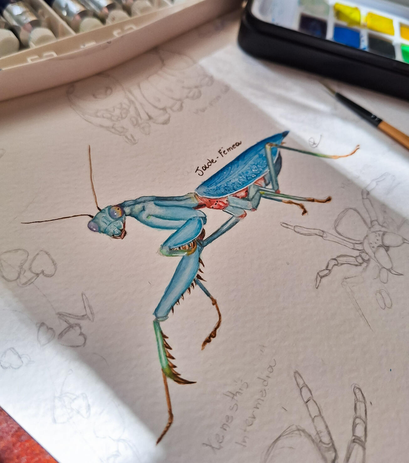 Jade Mantis, autoral